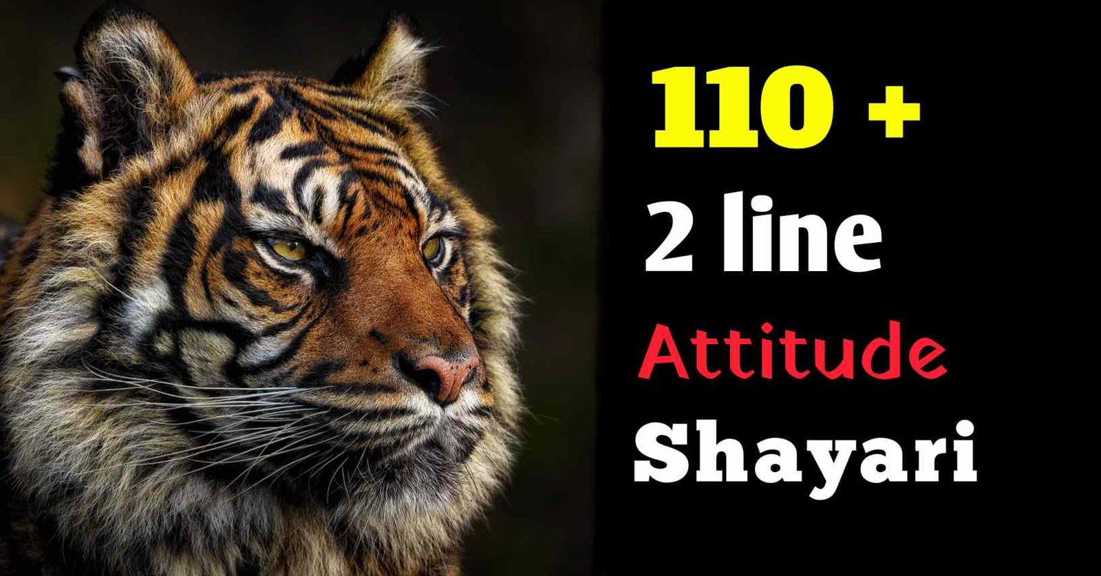 attitude shayari 2 line
