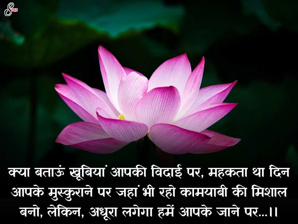 Farewell Shayari In Hindi